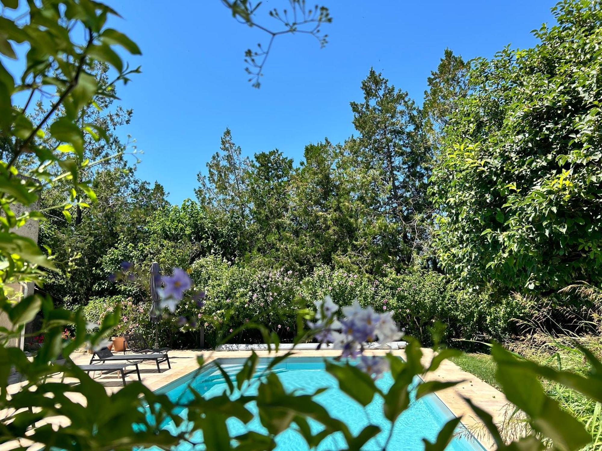 Provenzalisches Landhaus Les Martinets Am Fusse Des Mont Ventoux Villes-sur-Auzon Екстериор снимка